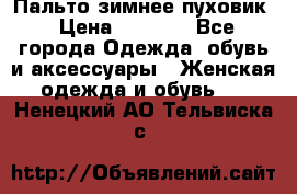 Пальто зимнее пуховик › Цена ­ 2 500 - Все города Одежда, обувь и аксессуары » Женская одежда и обувь   . Ненецкий АО,Тельвиска с.